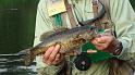 Last fish close up